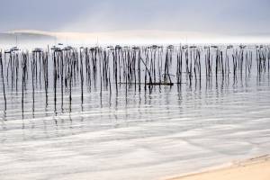 Véronique LARRUE - LARRUE VERONIQUE
