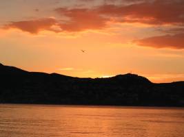 Elisabeth LAVALL - LAVALL ELISABETH